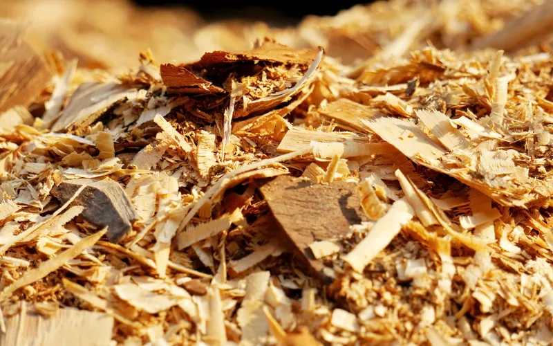 Wood chips prepared for kraft pulping - 12 to 25mm uniform size